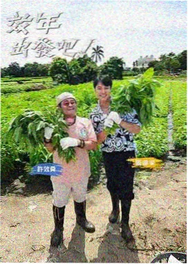 欧乐影院综艺旧物新生海报